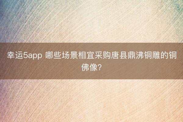 幸運5app 哪些場景相宜采購唐縣鼎沸銅雕的銅佛像?
