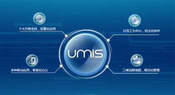 上?；ヂ摼W軟件集團 高端協同管理軟件產品和咨詢服務提供商